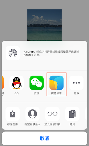 自定义分享按钮